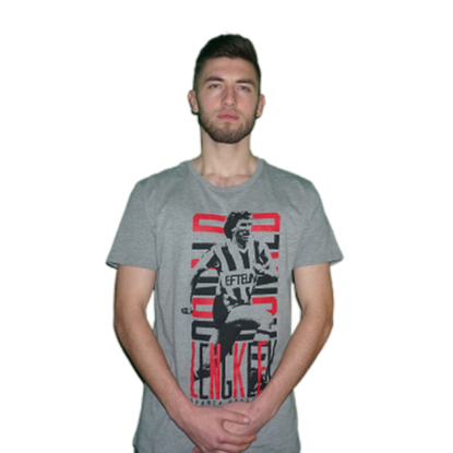Afbeeldingen van T-SHIRT LENGKEEK GRIJS